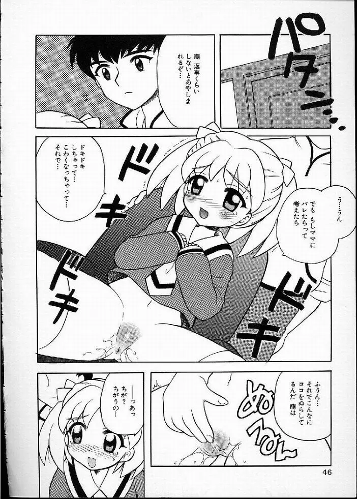 花の実の熟するとき... Page.46