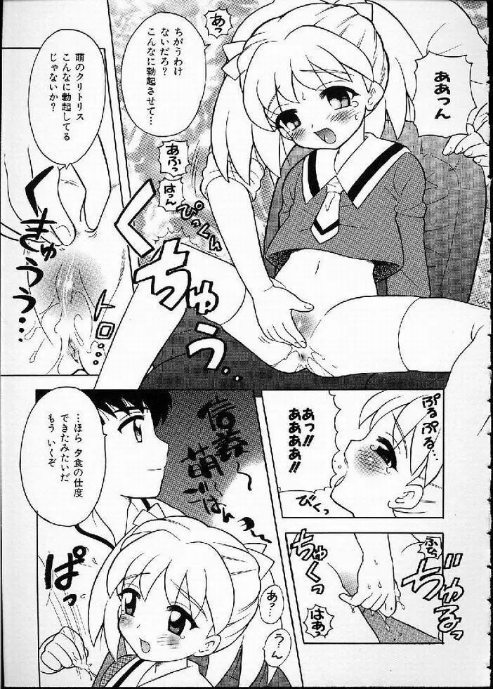 花の実の熟するとき... Page.47