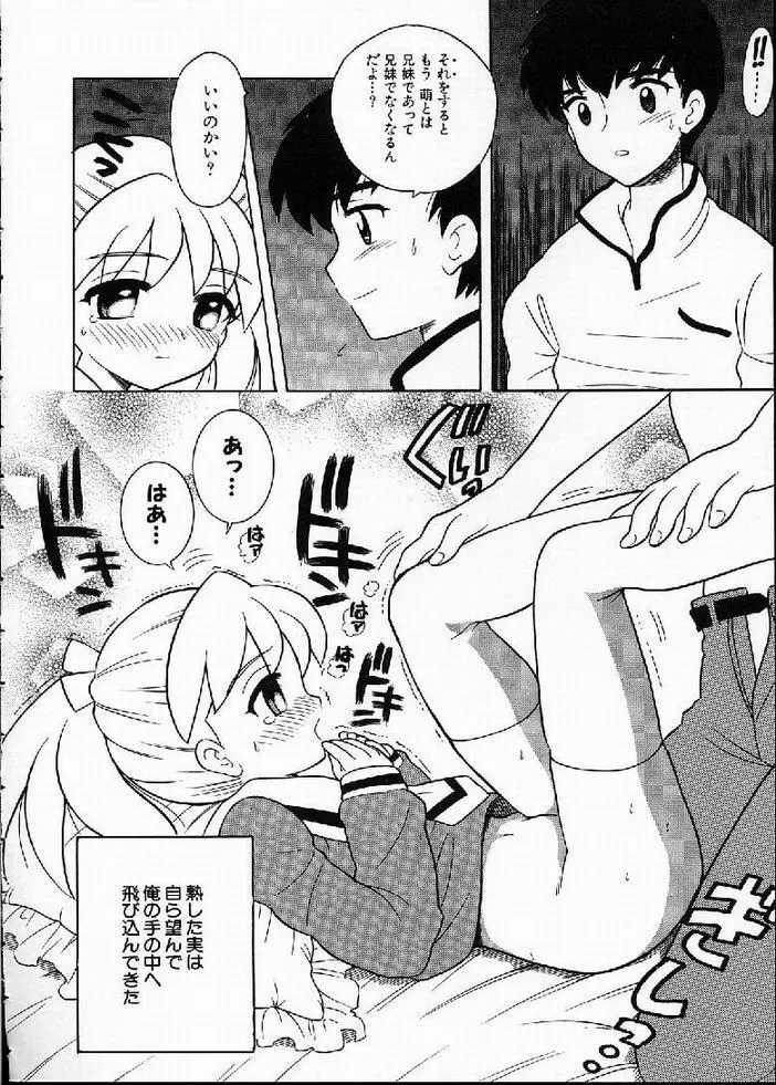 花の実の熟するとき... Page.64