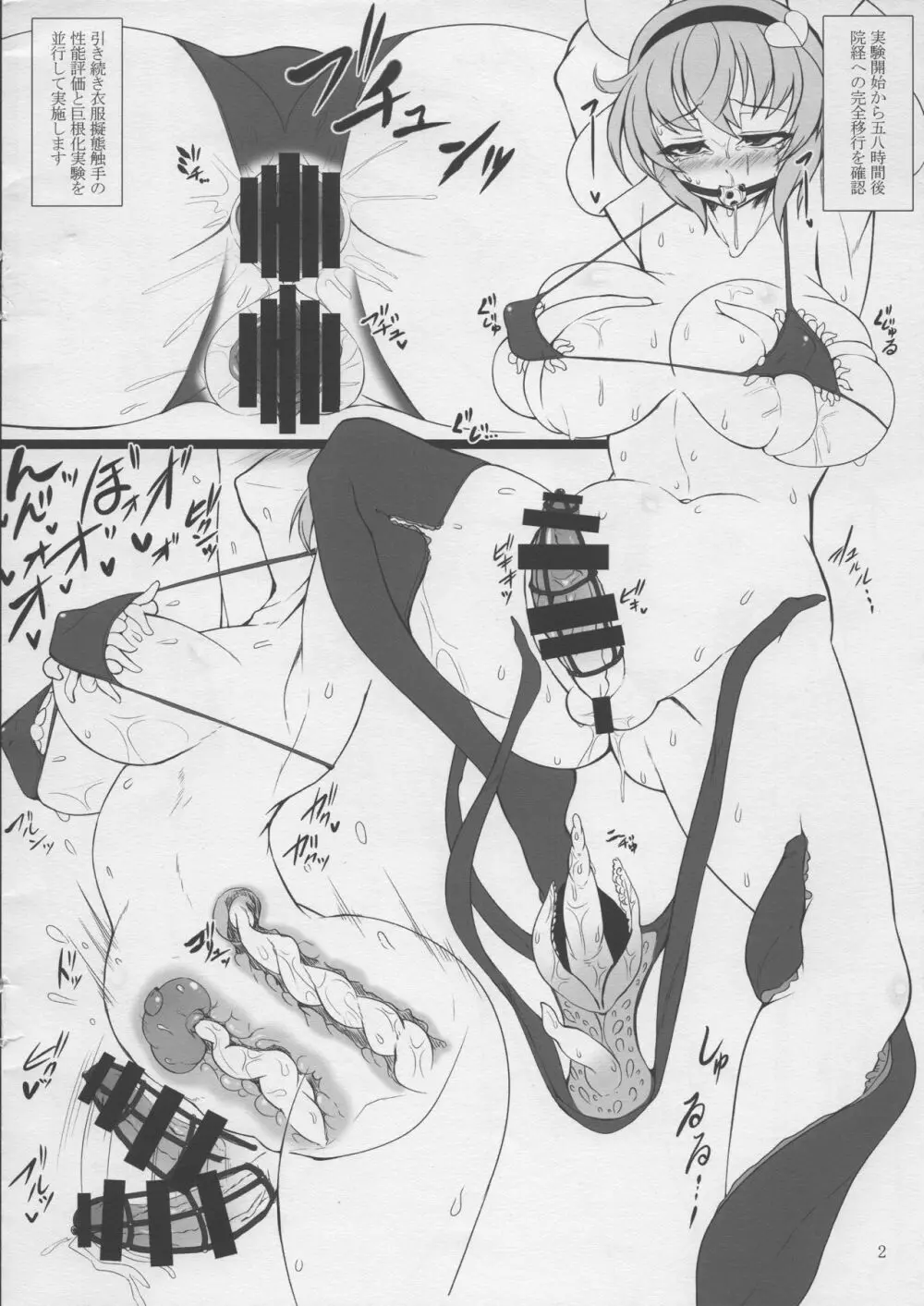 触手地霊殿外伝~ふたなり改造実験録~ Page.3