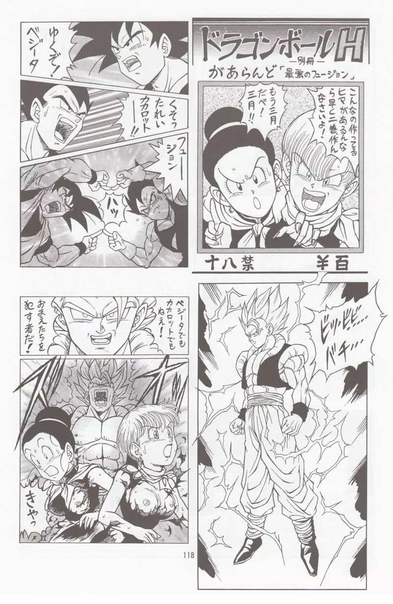 ドラゴンボールH 別冊 総集編 Page.117