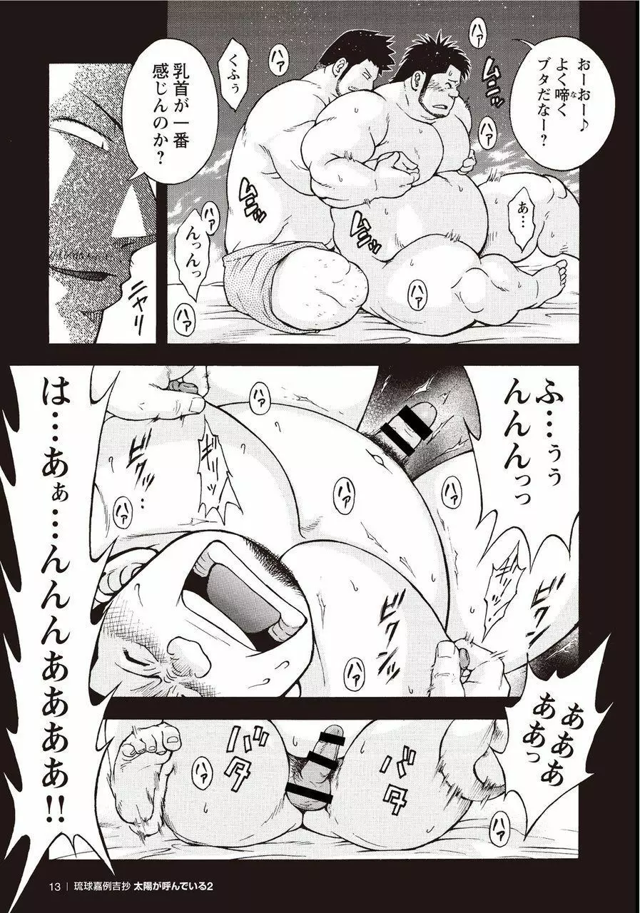 太陽が呼んでいる2 Page.13