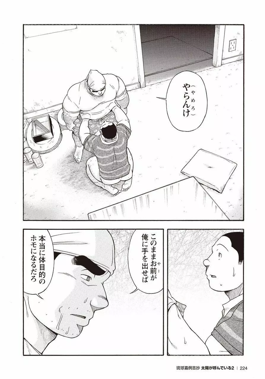 太陽が呼んでいる2 Page.217