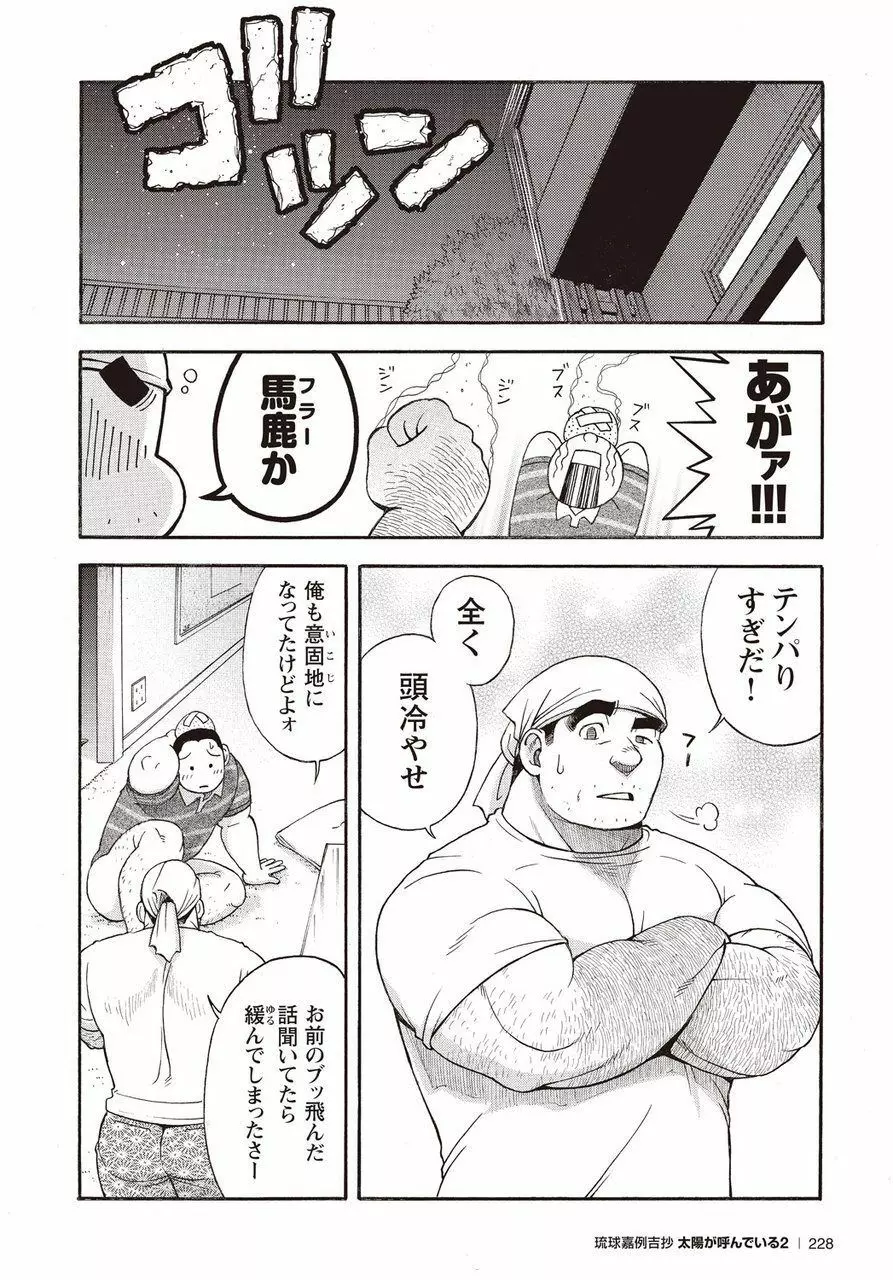 太陽が呼んでいる2 Page.221