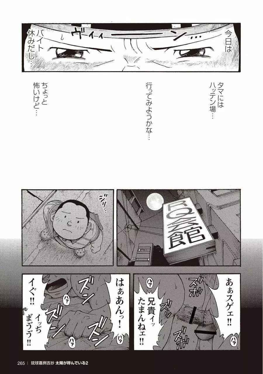 太陽が呼んでいる2 Page.256