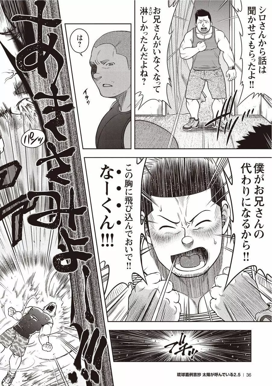 太陽が呼んでいる2.5 Page.37