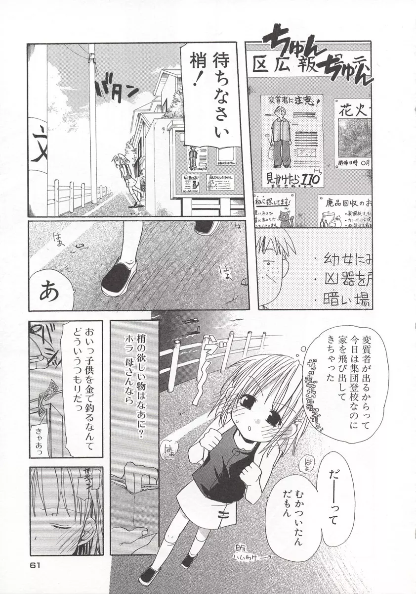 ワイルドストロベリー Page.62