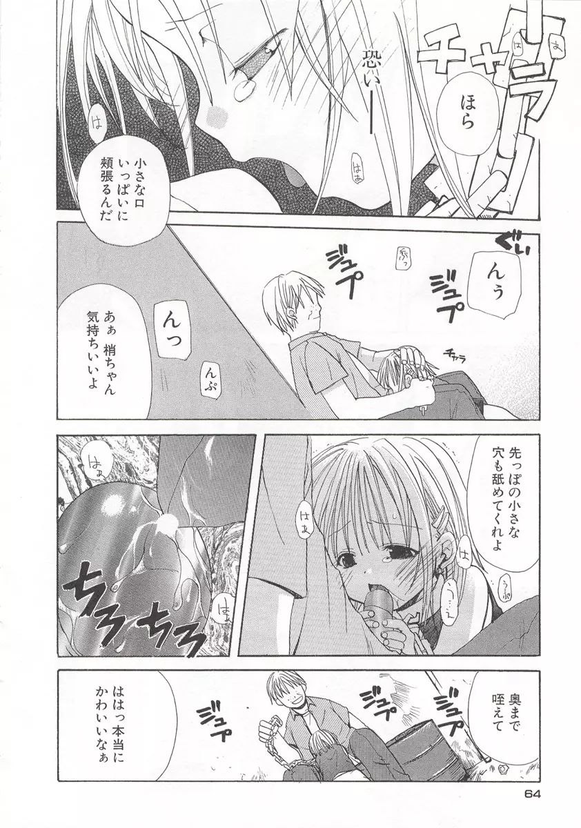 ワイルドストロベリー Page.65