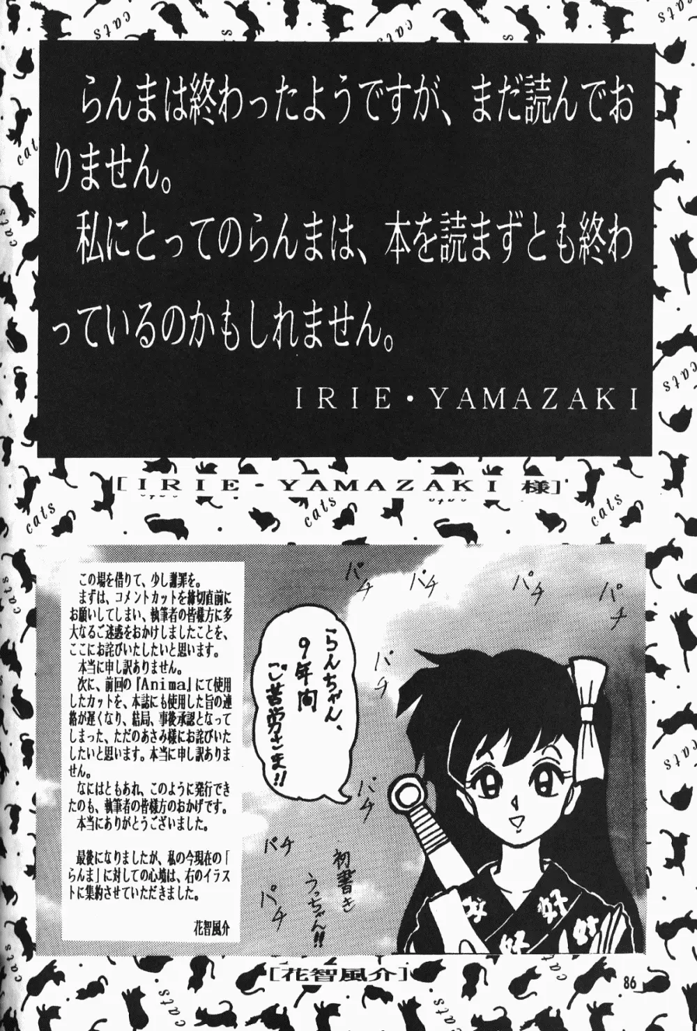 Anima Returns Page.84