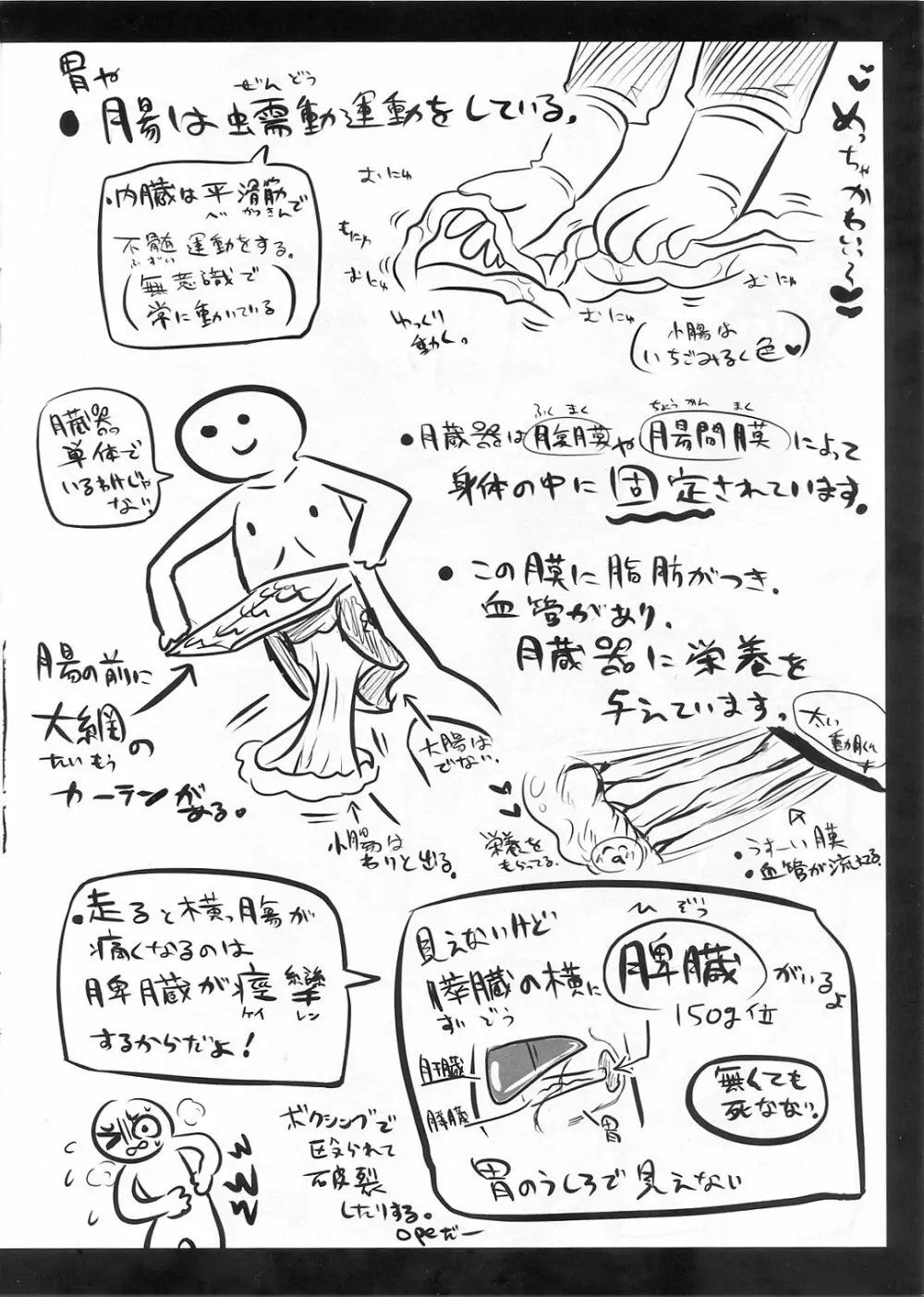 リョナラーのための解剖生理 Page.12