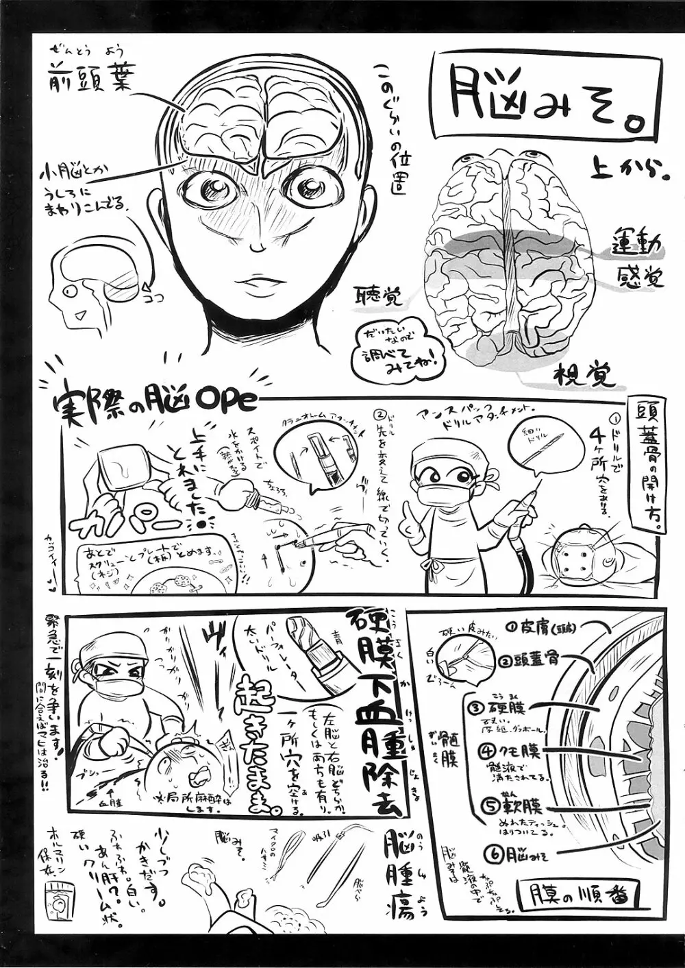 リョナラーのための解剖生理 Page.17