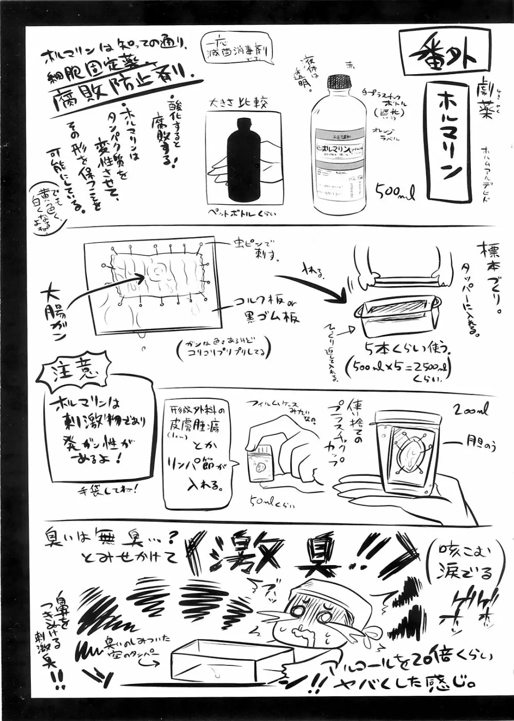 リョナラーのための解剖生理 Page.25