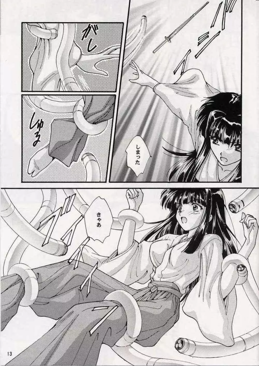 華姫乱舞 Page.12