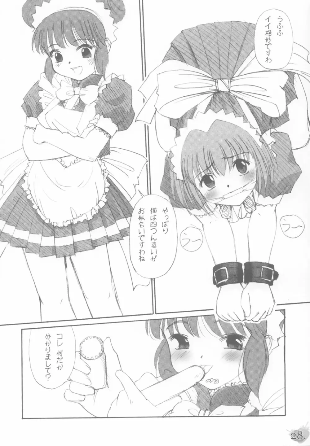 (C63) [G-Power! (Gody、SASAYUKi) YOU ARE THE ONLY version:Tokyo mew mew (東京ミュウミュウ) Page.27