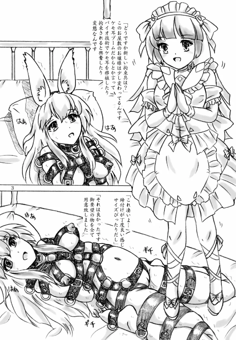 剥製お嬢様 Page.3