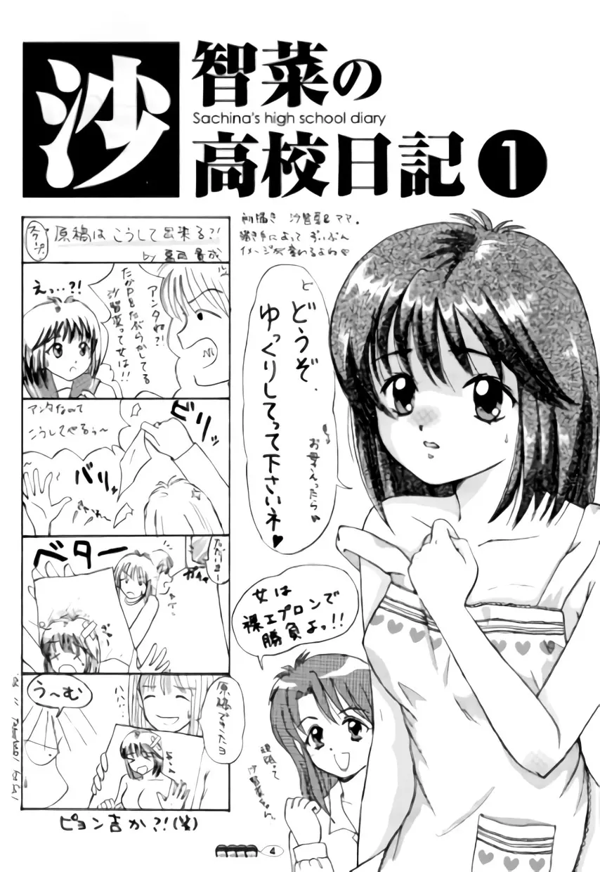 沙智菜の高校日記 1 Page.3