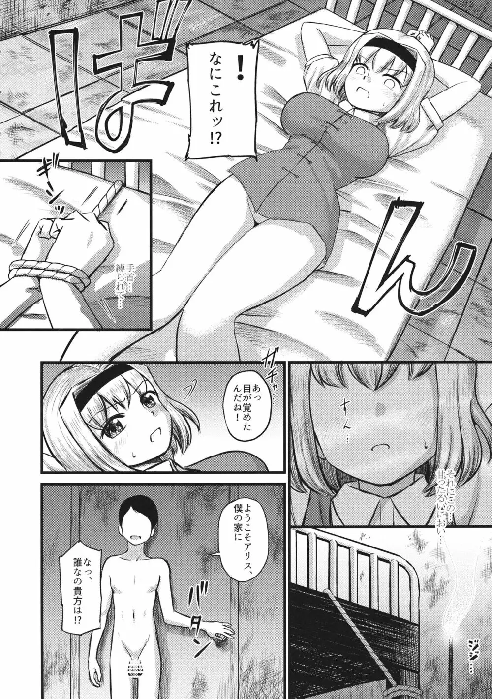 アリス監禁 Page.3