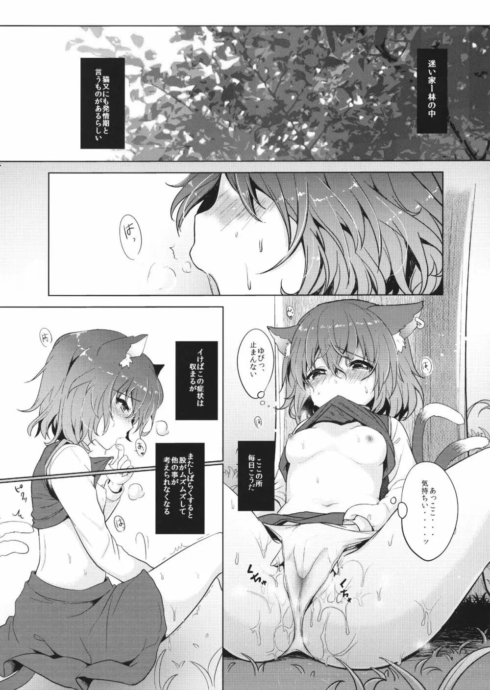 ちぇんちゃんのはつじょーき Page.3