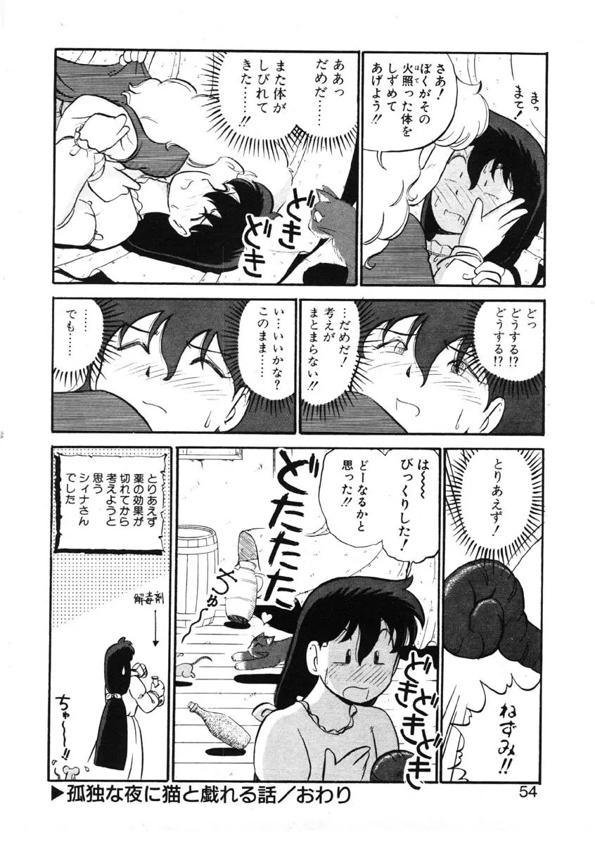 シィナのファブリオ Page.51