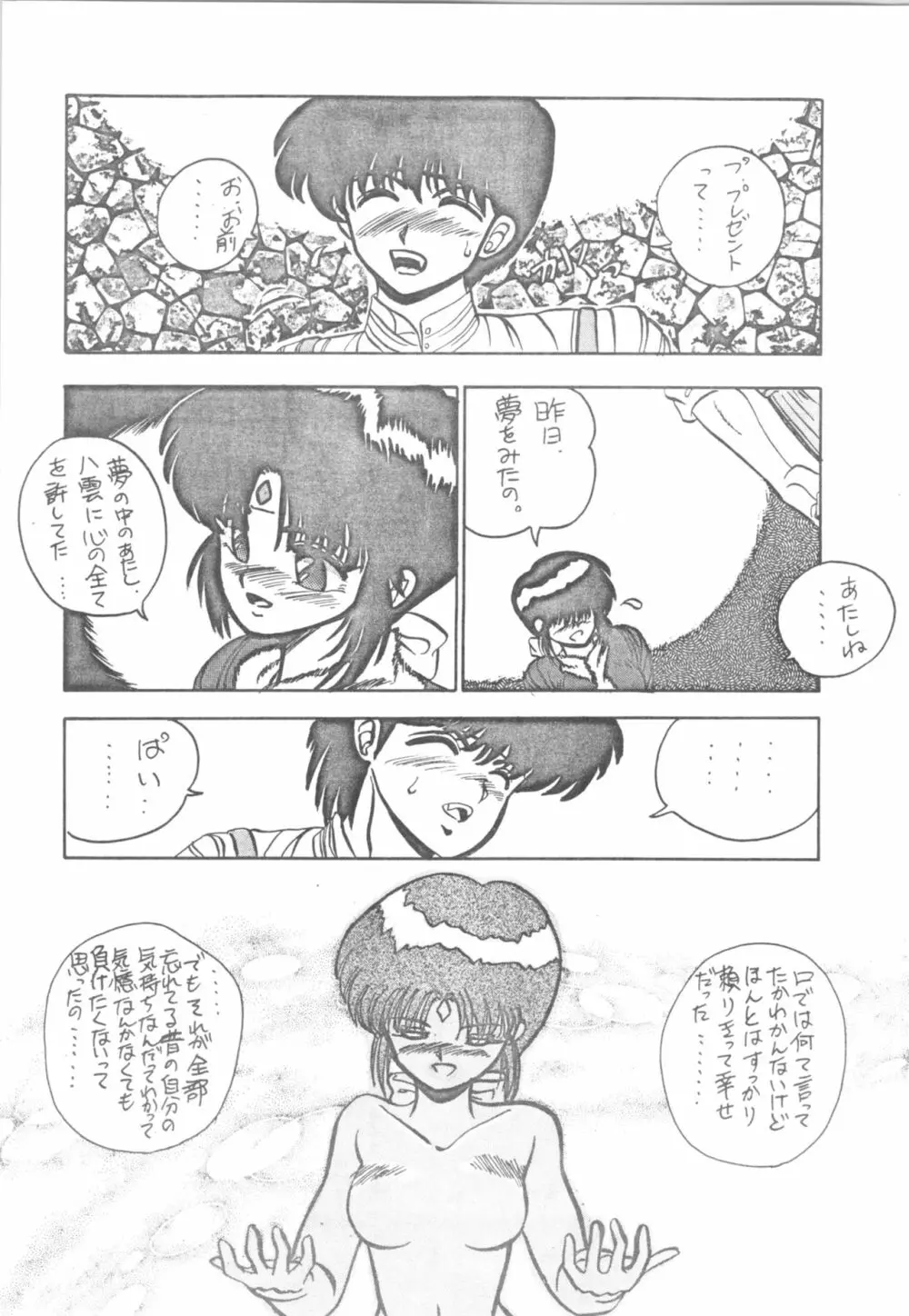 DESIRE テニーレ隊 －新たなる野望－ Page.25