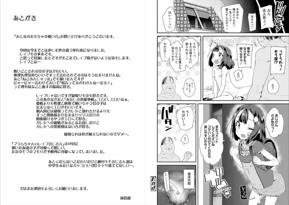 おとなのおもちゃの使い方 Page.100