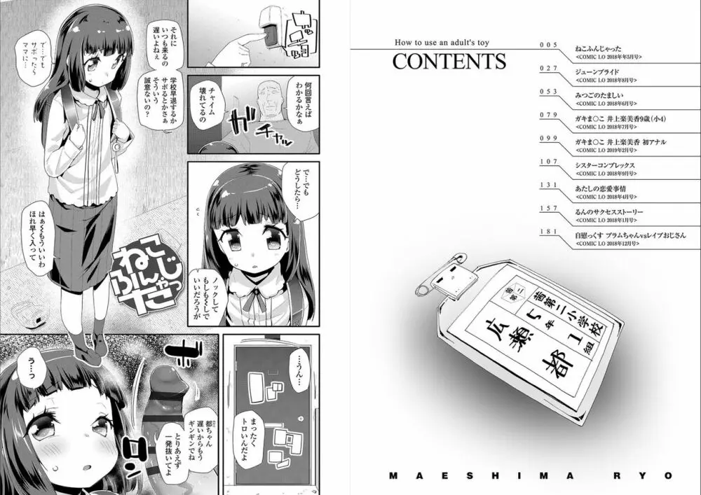 おとなのおもちゃの使い方 Page.3