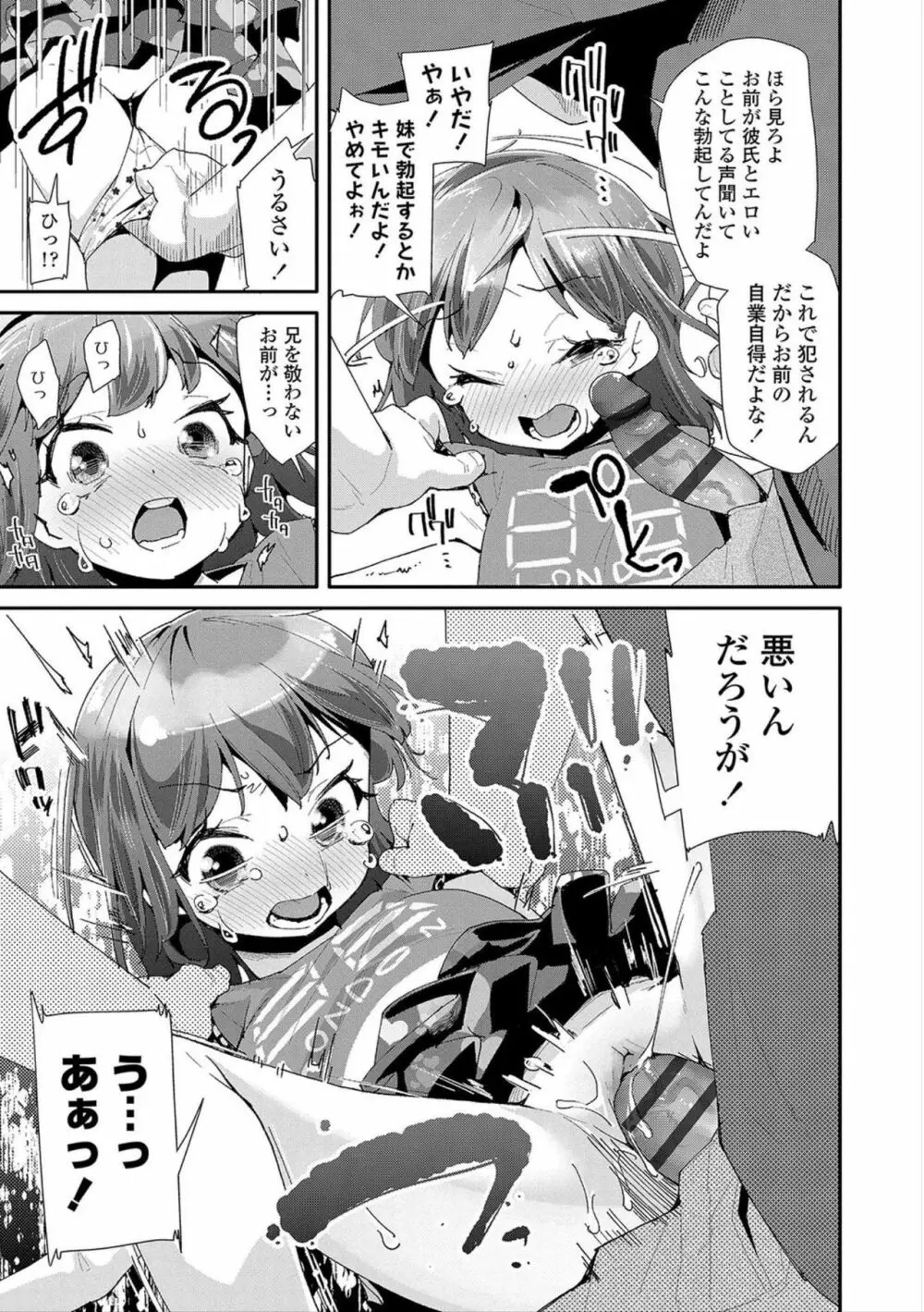 おとなのおもちゃの使い方 Page.109