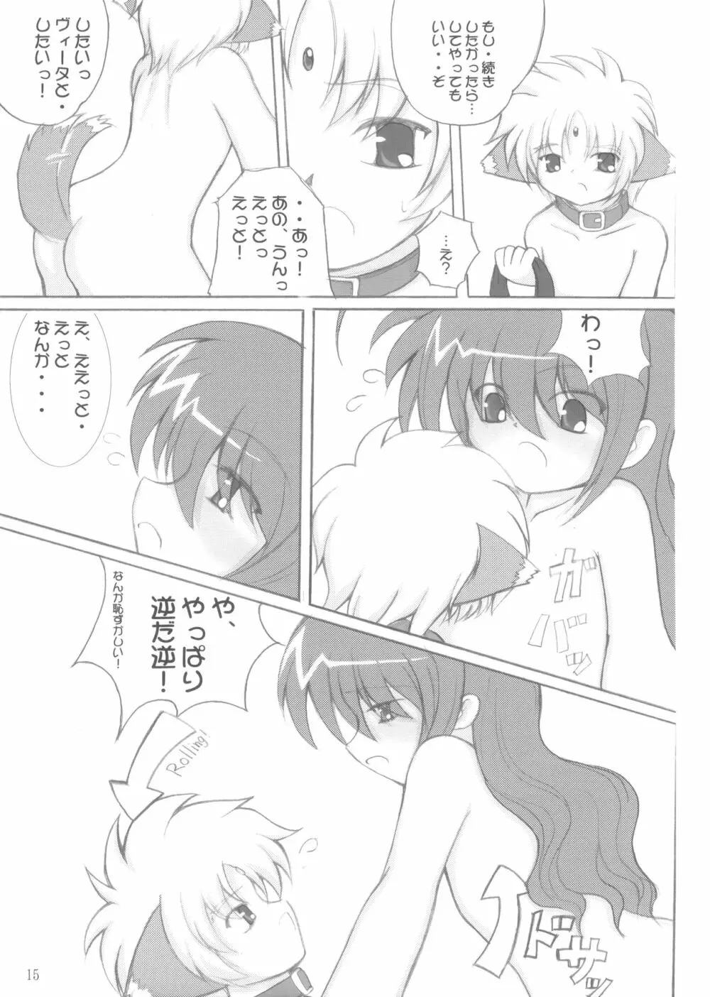 子犬座の協奏曲 Page.14