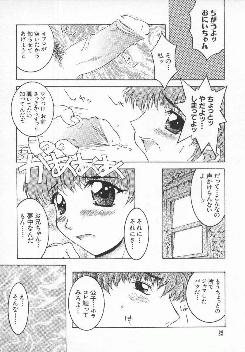 電脳恋愛姫5 Page.23