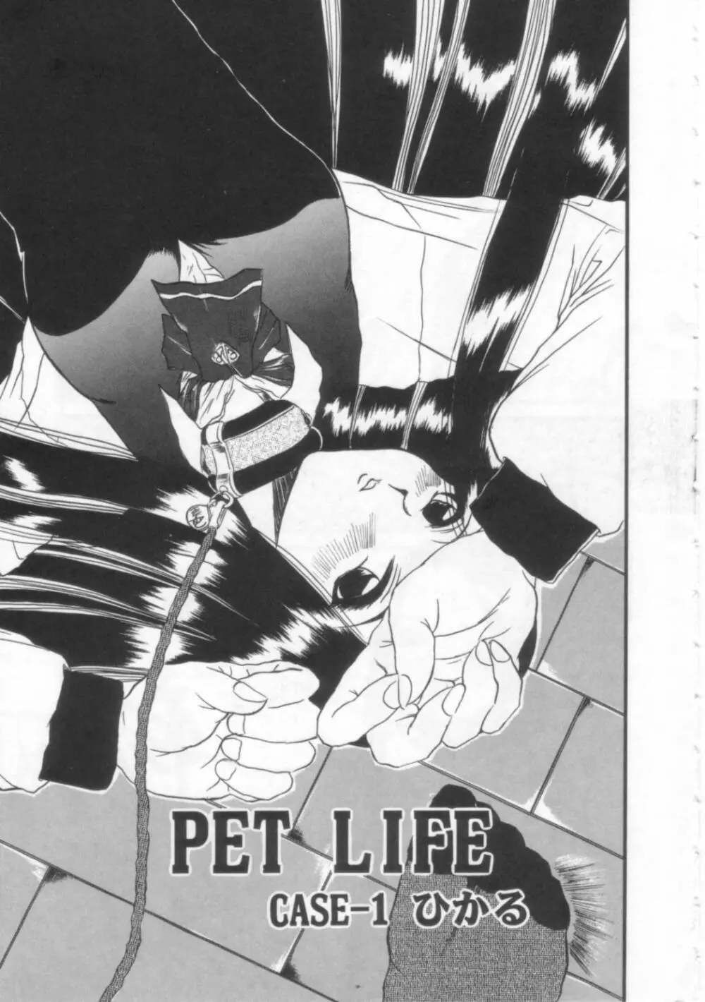 PET LIFE Page.6