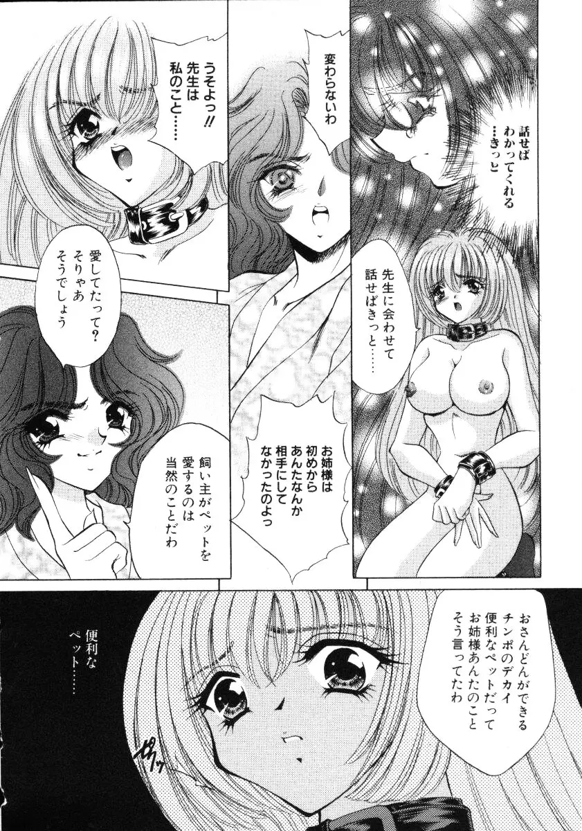 愛欲玩具 Page.105