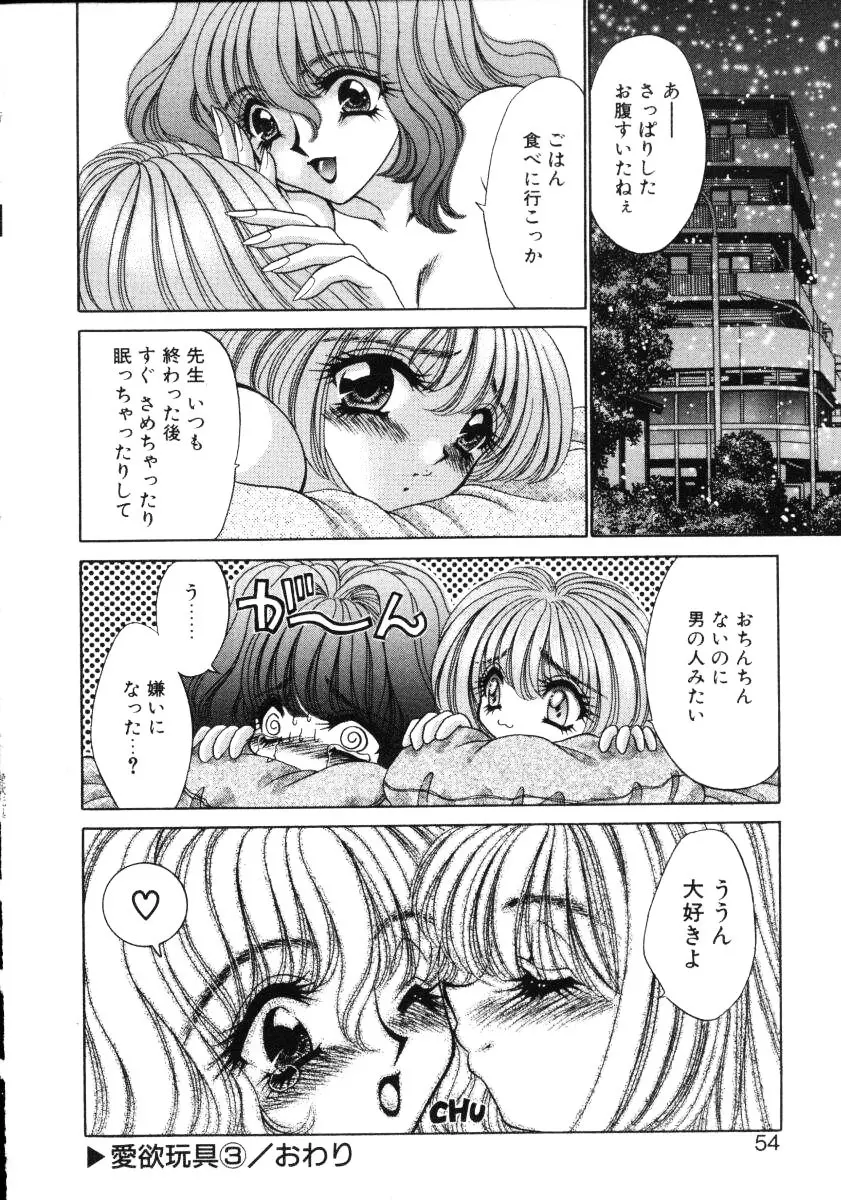 愛欲玩具 Page.53