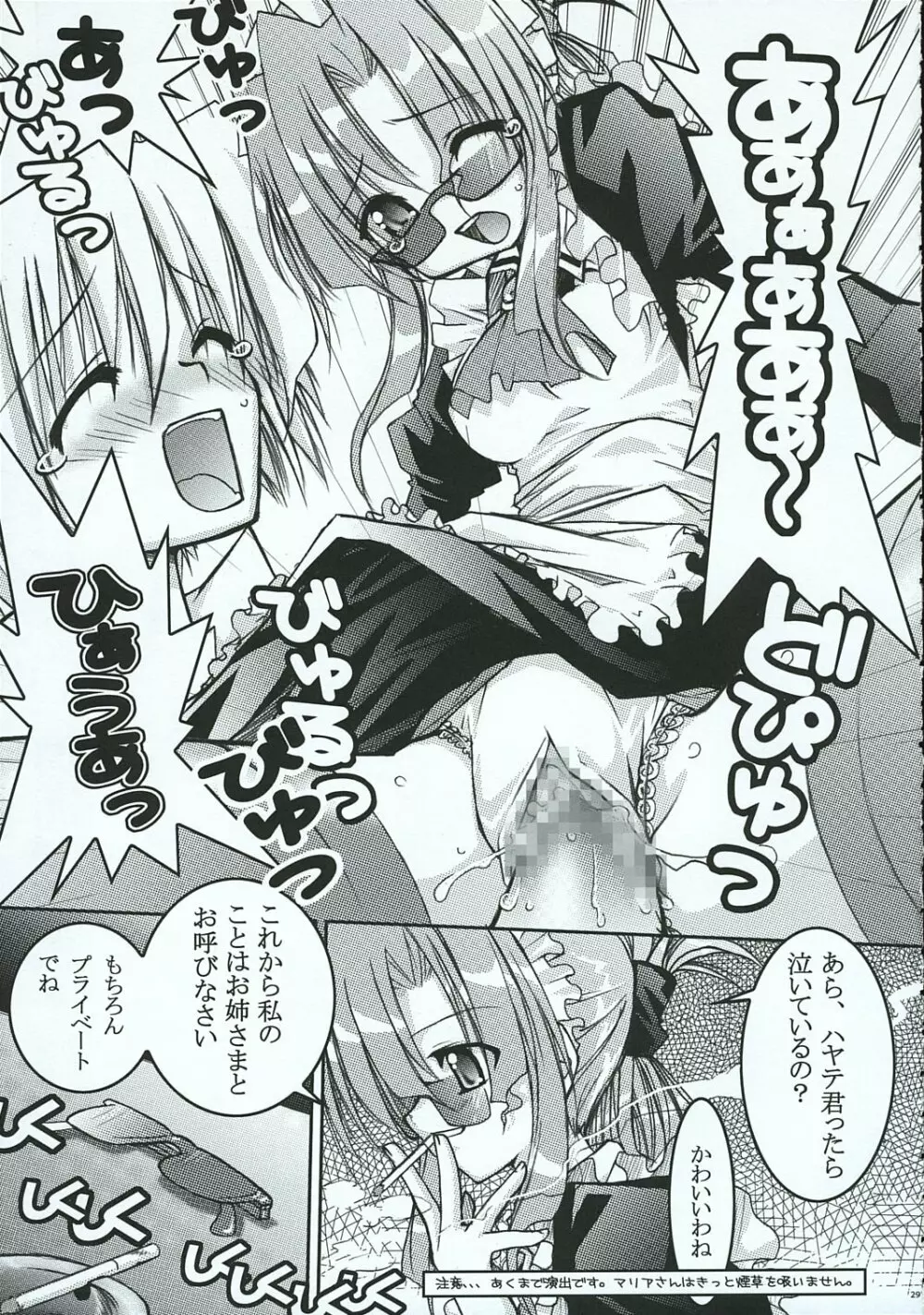 ハヤテのごとし!? 3 書店委託版 Page.28