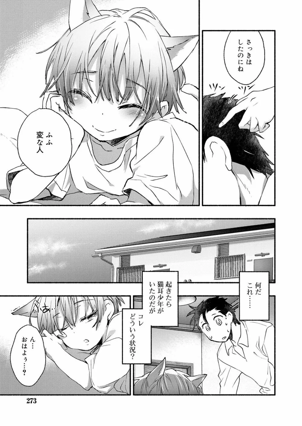 好色少年 vol.12 Page.273