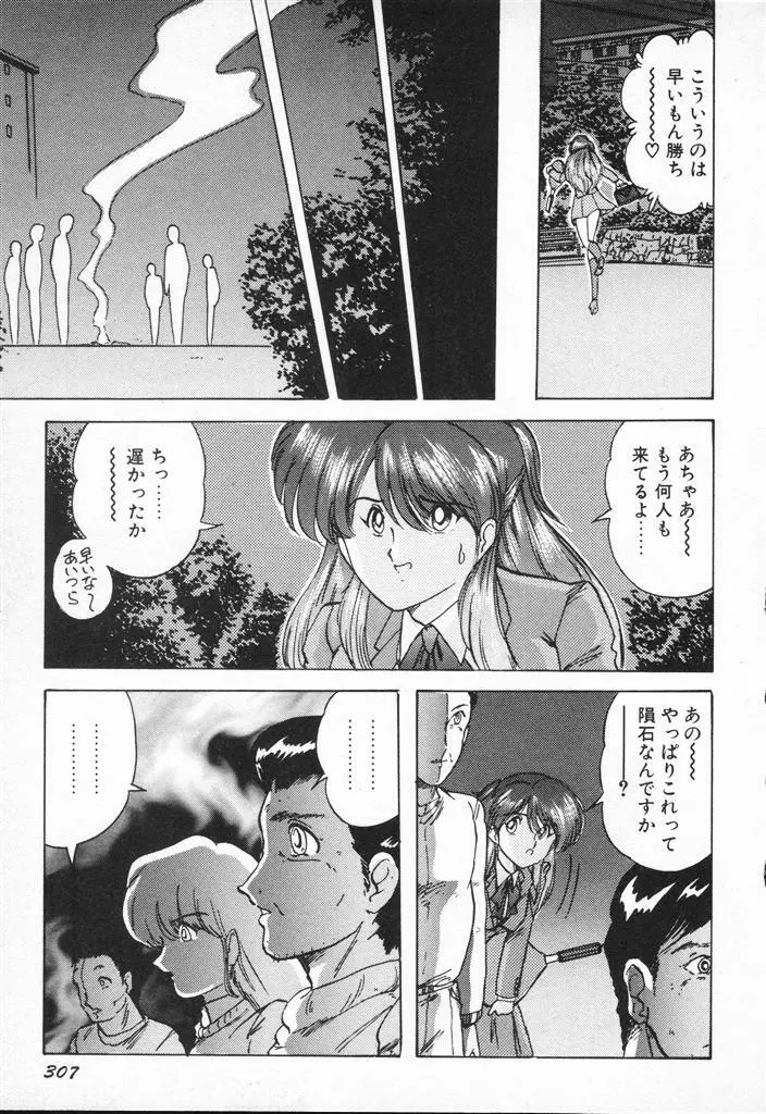 精霊特捜フェアリィセイバーVSグランバス Page.307