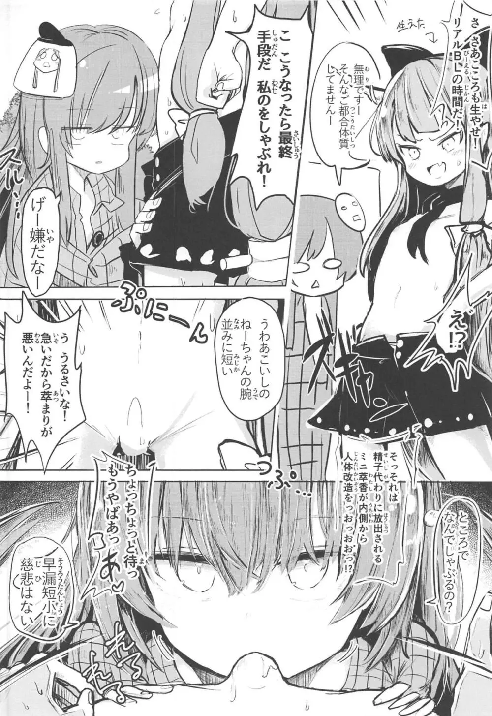 東方裏表としあき成年合同誌8 としあき怒助平 Page.23