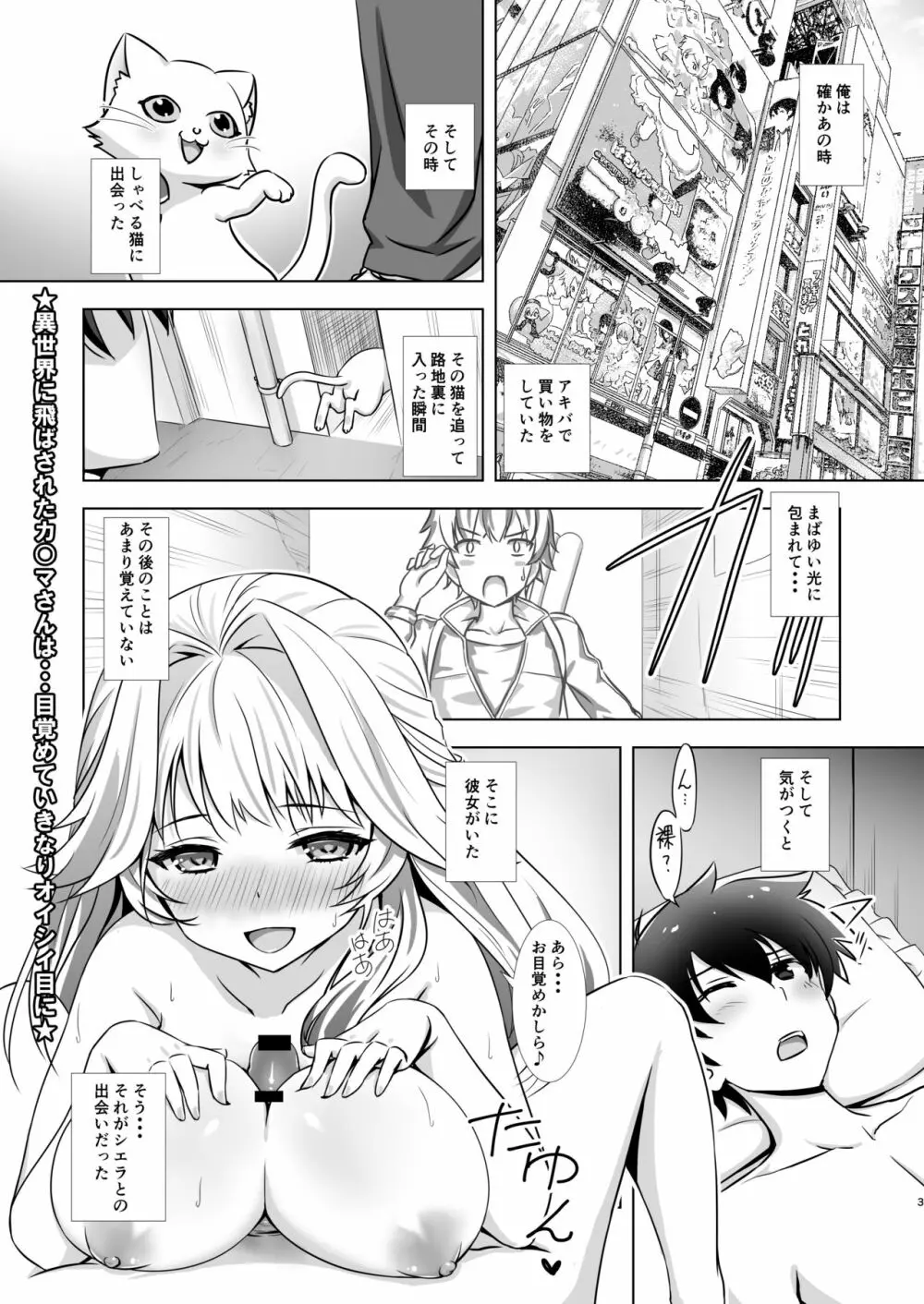 シエラと異世界農業生活 Page.2