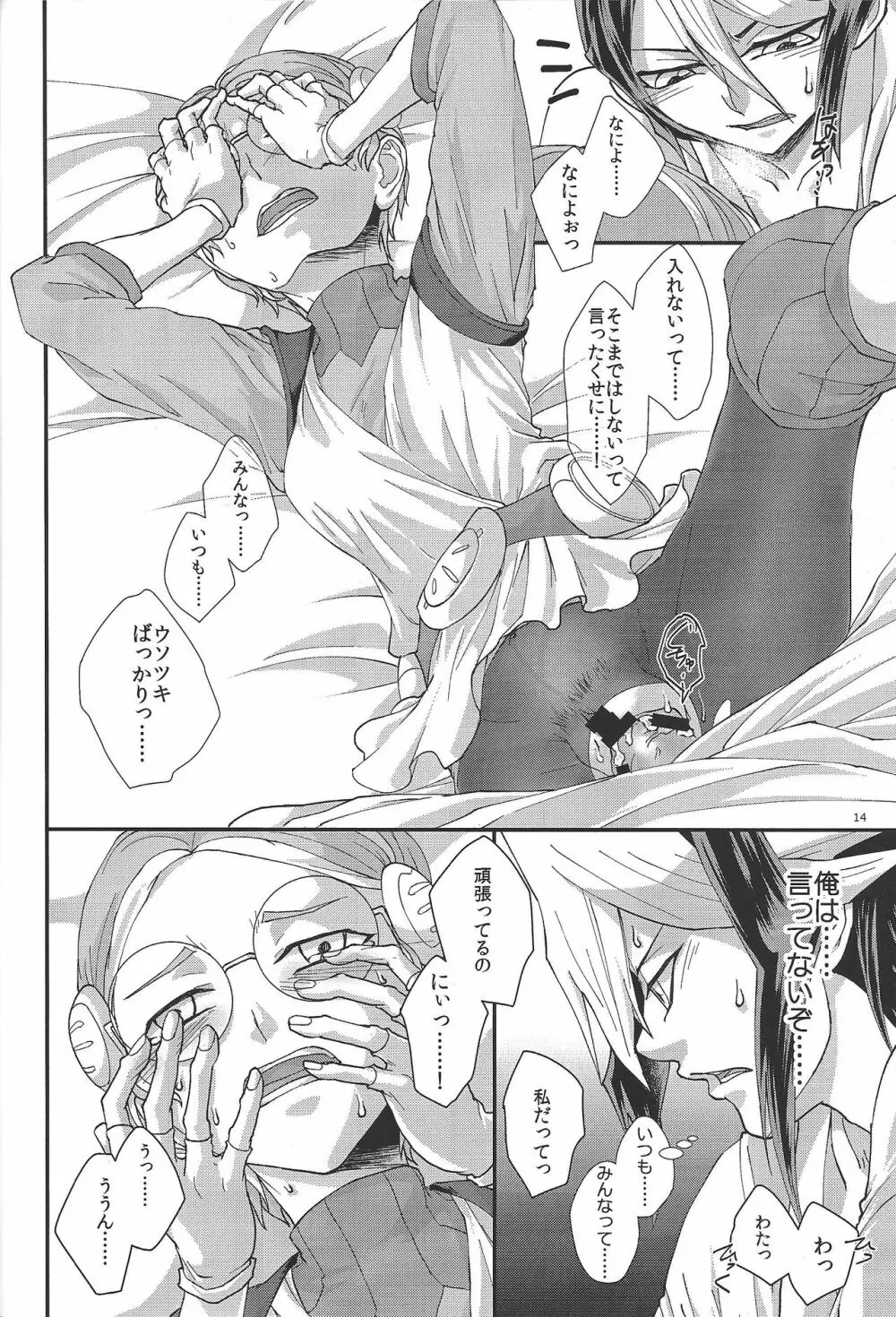 隼を元気にしてみせる Page.13