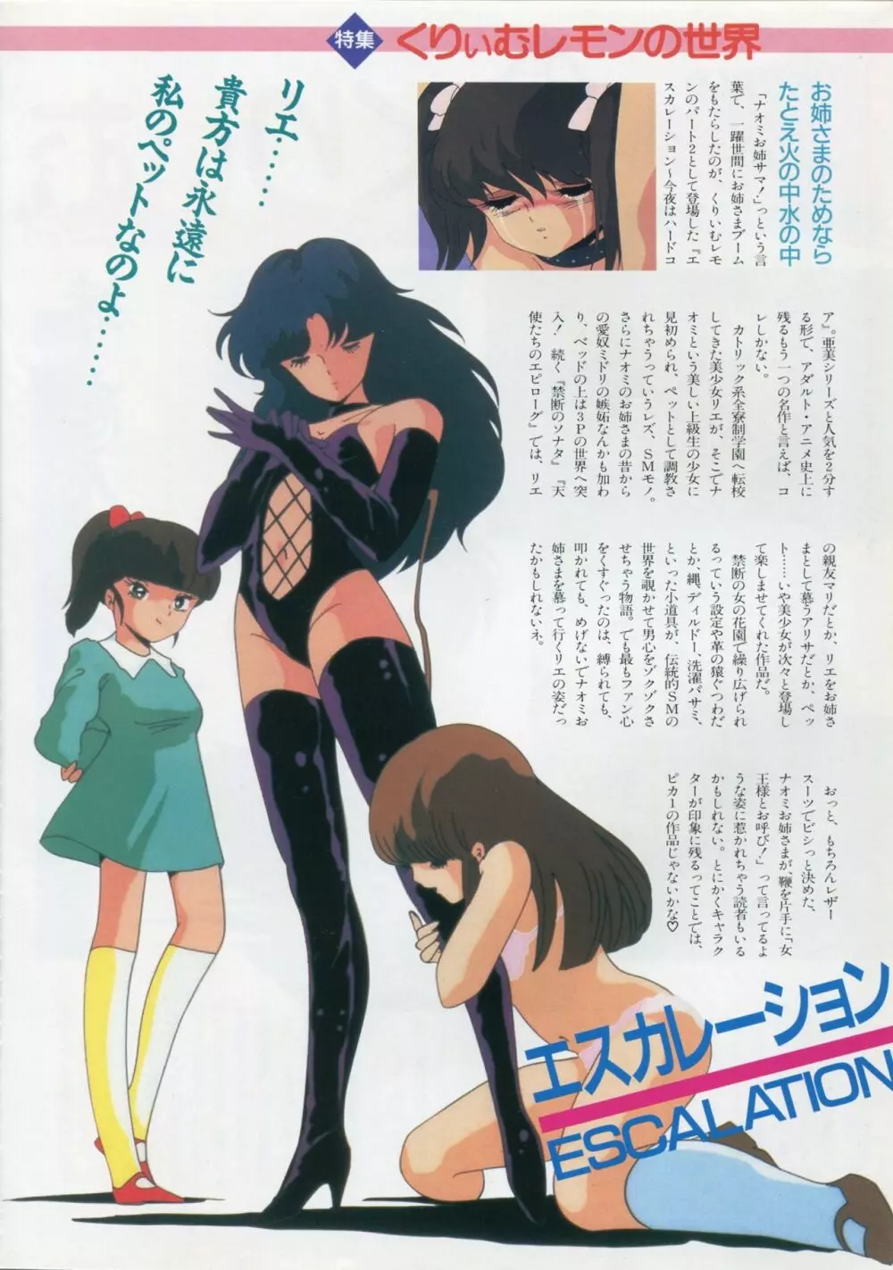 美少女アニメ大全集 - アダルトアニメビデオカタログ1991 Page.14