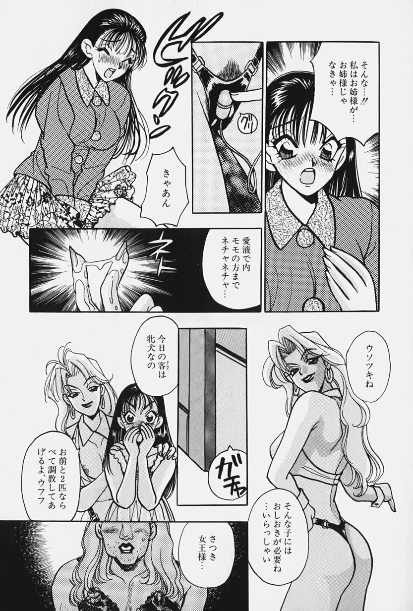 女王志願と牝犬 Page.19