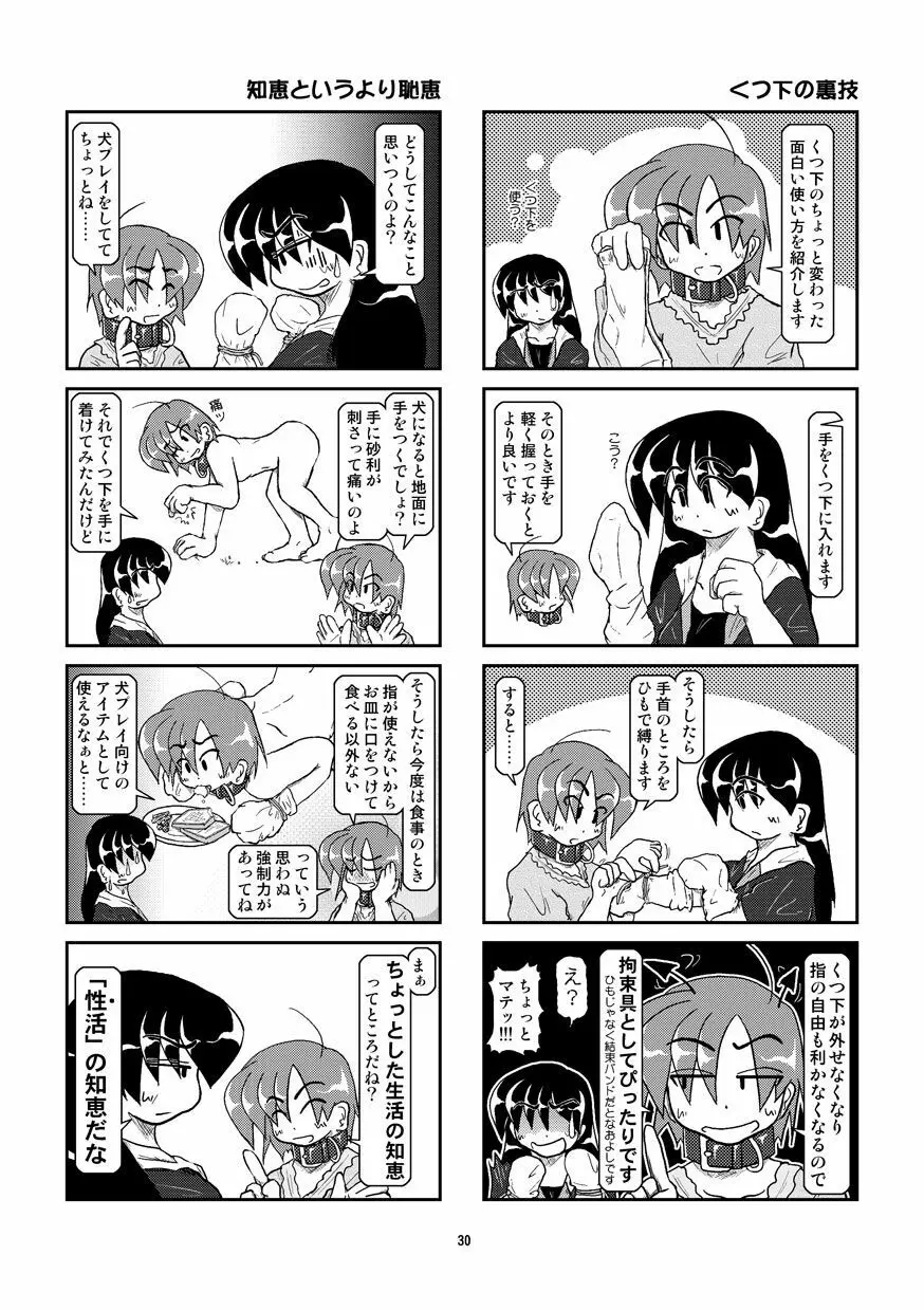 首輪日記 8 Page.30