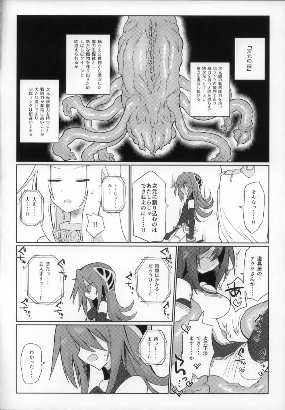 次元の小部屋 Page.28