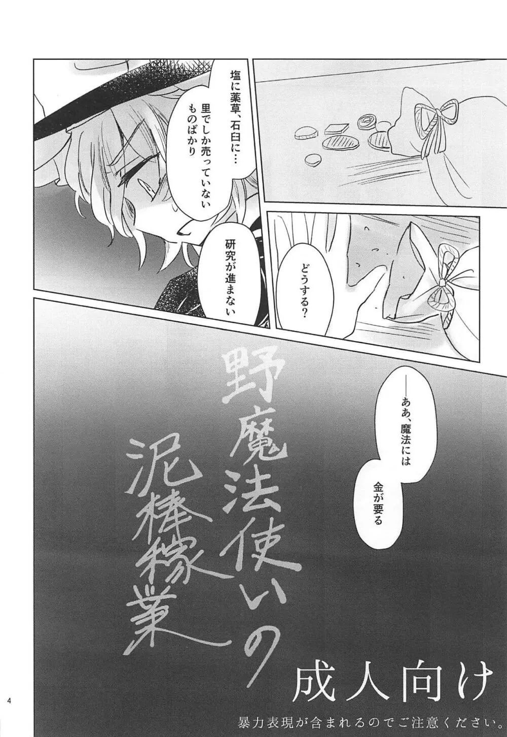 野魔法使いの泥棒稼業 Page.3