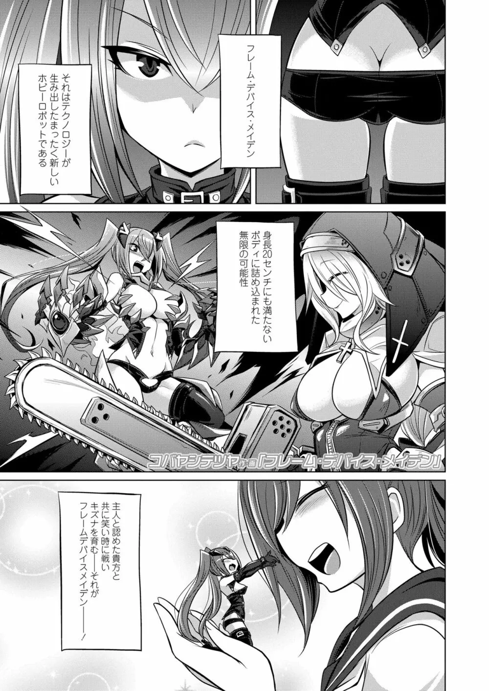 ガールズフォーム Vol.19 Page.205