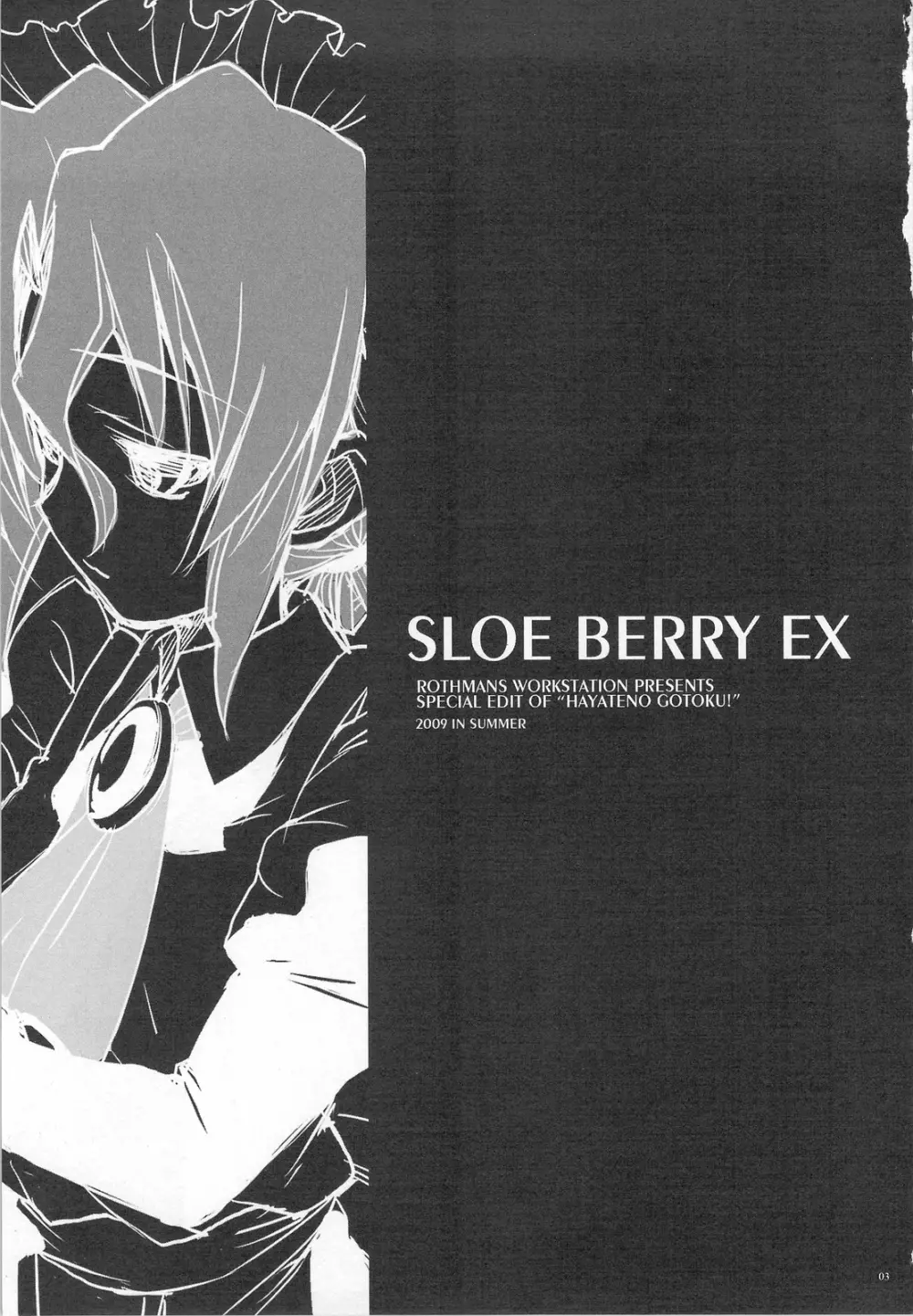 SLOE BERRY EX Page.2