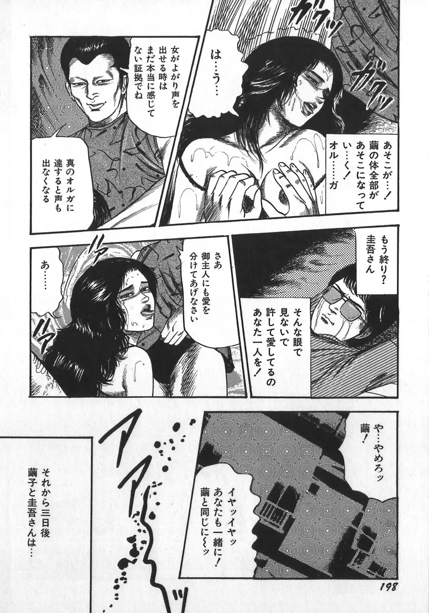 若妻陵辱奴隷 Page.201