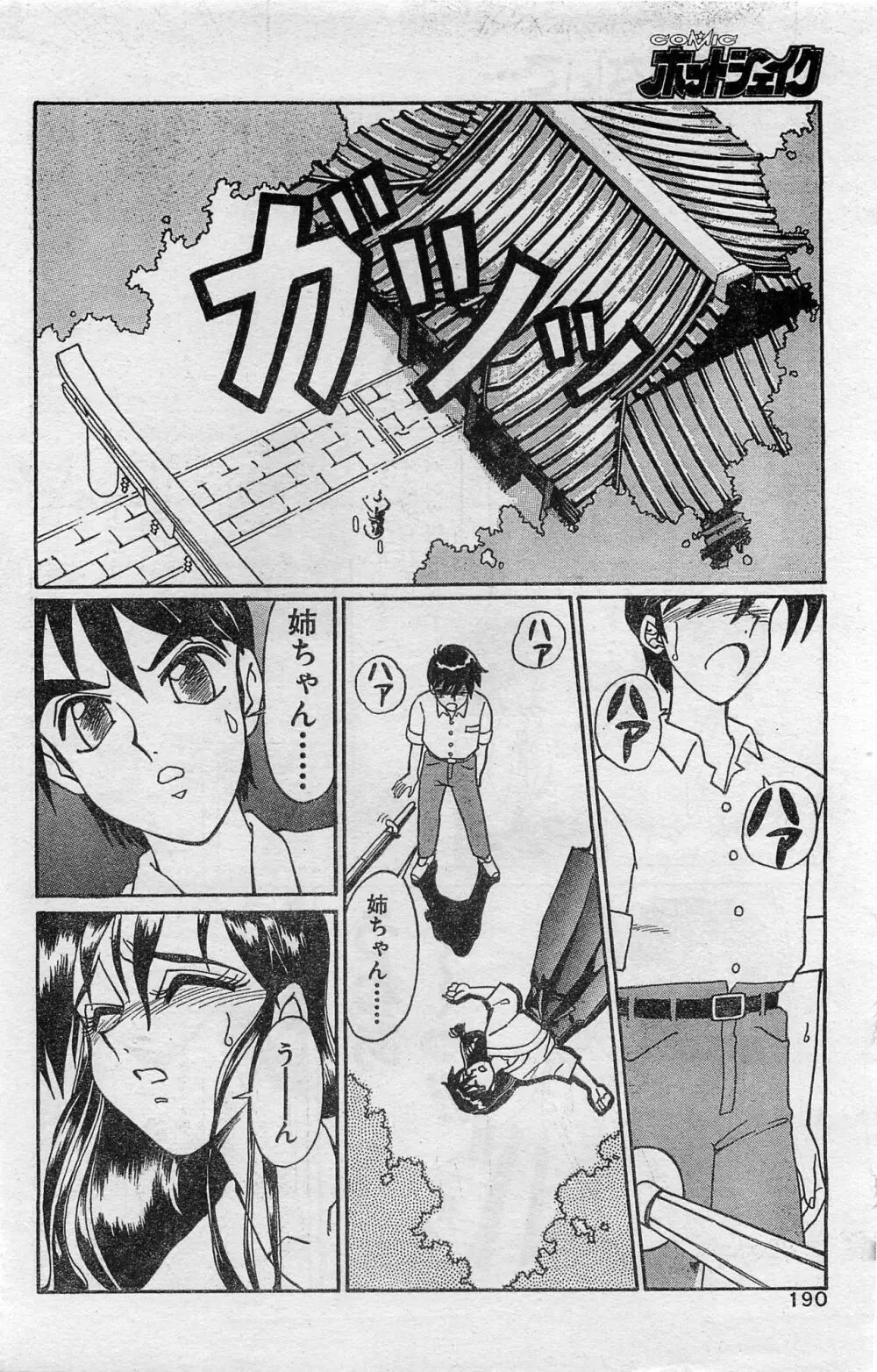 COMIC ホットシェイク キャンディータイム海賊版 1994年2月号増刊 Page.184