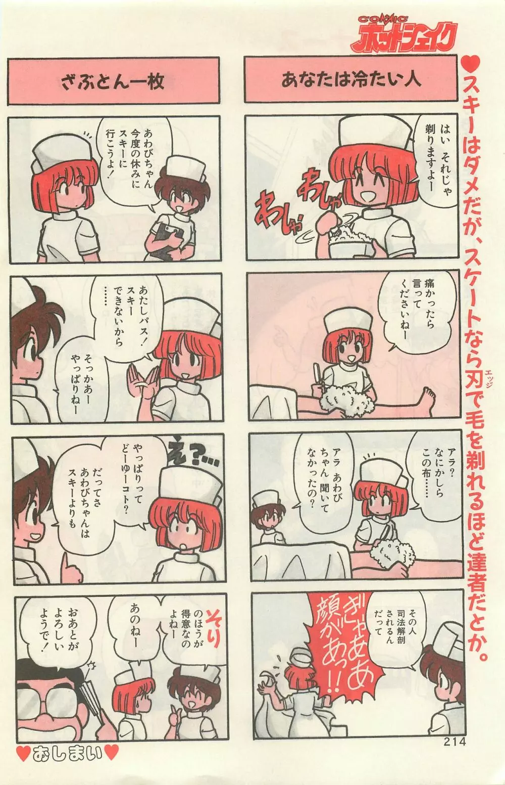 COMIC ホットシェイク キャンディータイム海賊版 1994年2月号増刊 Page.208