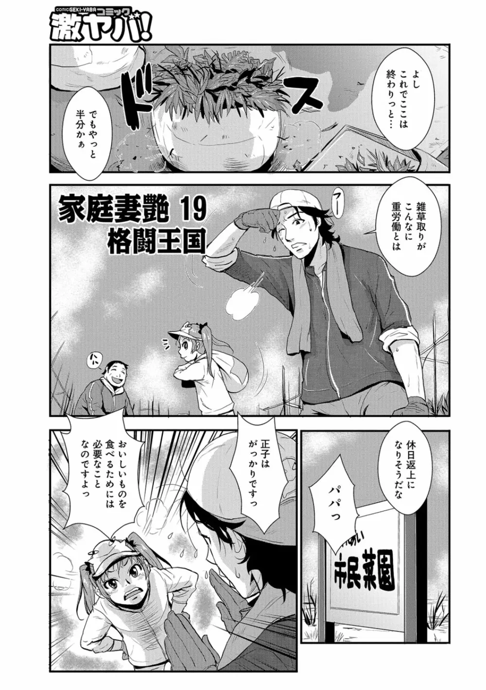 家庭妻艶 Vol.3 Page.36