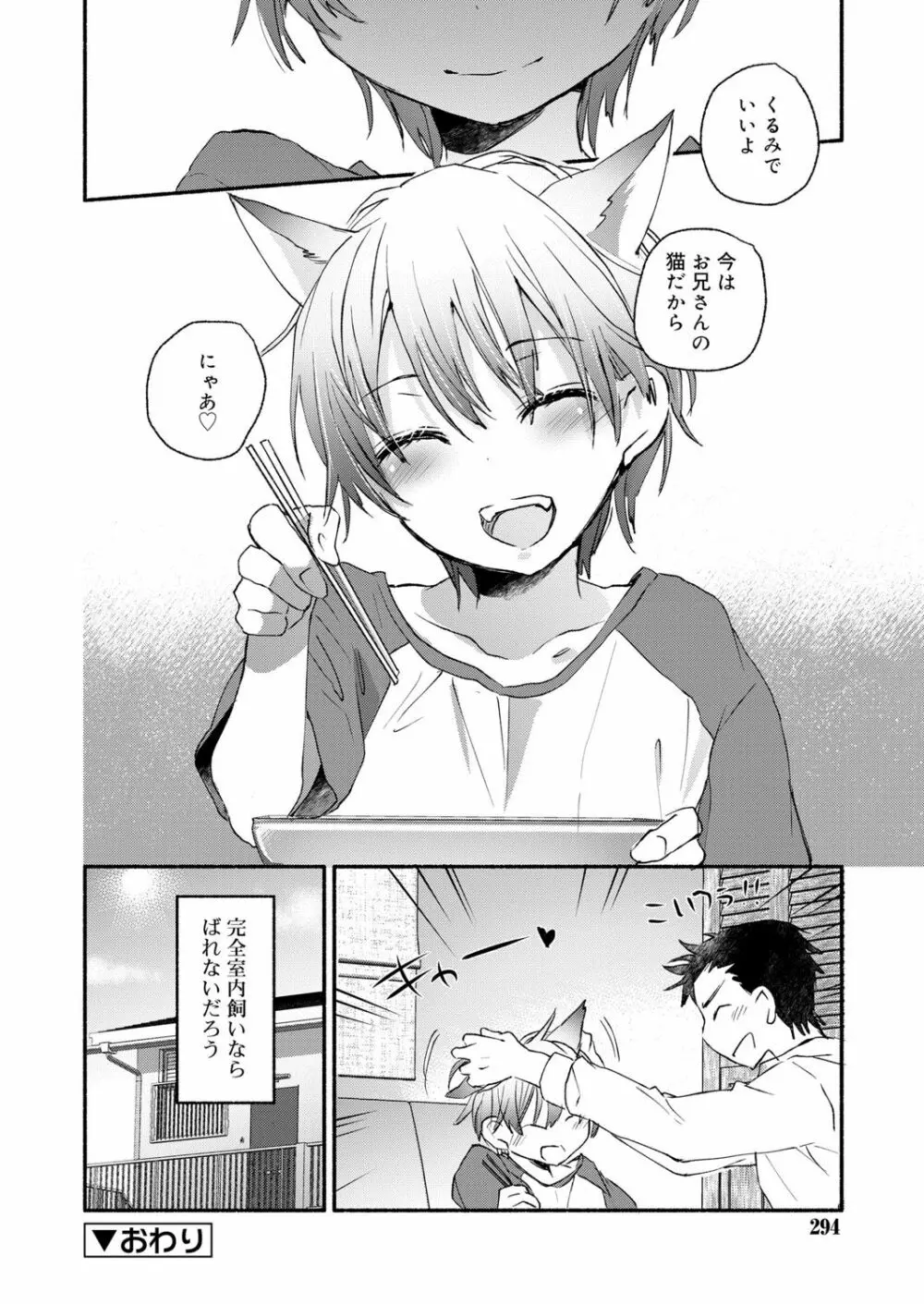 好色少年 vol.13 Page.295